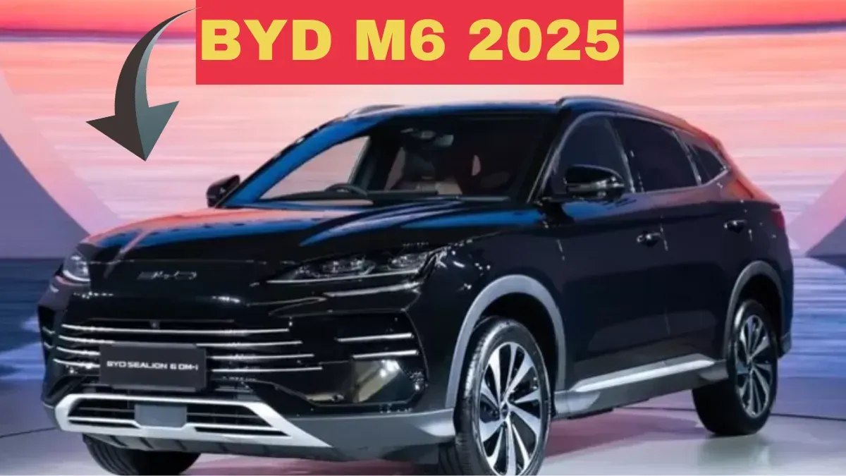 BYD M6
